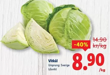 Vitkål