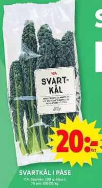 SVARTKÅL