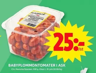 BABYPLOMMONTOMATER I ASK