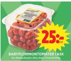 BABYPLOMMONTOMATER