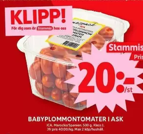 BABYPLOMMONTOMATER I ASK
