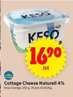 Arla - Cottage Cheese Naturell 4%