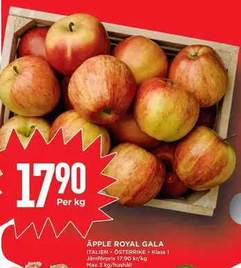 APPLE ROYAL GALA