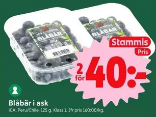 Blåbär i ask