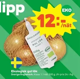 EKO - Ekologisk gul lök