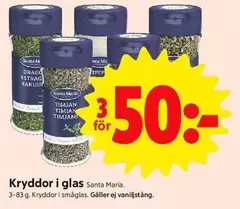 Santa Maria - Kryddor i glas