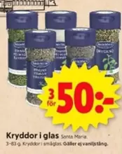 Santa Maria - Kryddor i glas