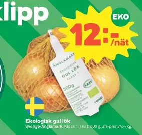 EKO - Ekologisk gul lök