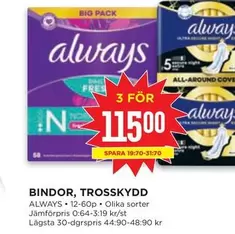 Always - BINDOR, TROSSKYDD