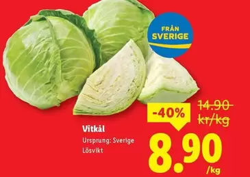 Vitkål