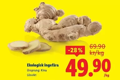 Ekologisk ingefära