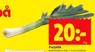Purjolök