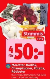 Morötter, Rödlök, Champinjoner, Potatis, Rödbetor