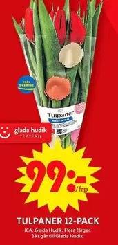 TULPANER 12-PACK