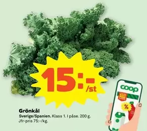Coop - Grönkål