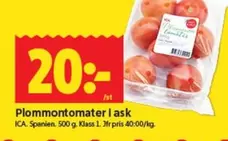 Plommontomater i ask