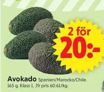 Avokado