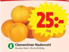 Clementiner Nadorcott