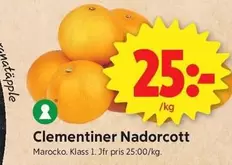 Clementiner Nadorcott