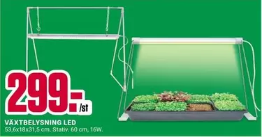 VÄXTBELYSNING LED