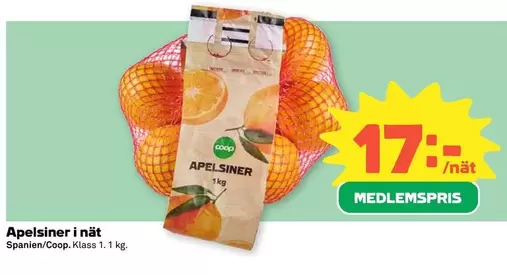 Coop - Apelsiner i nät