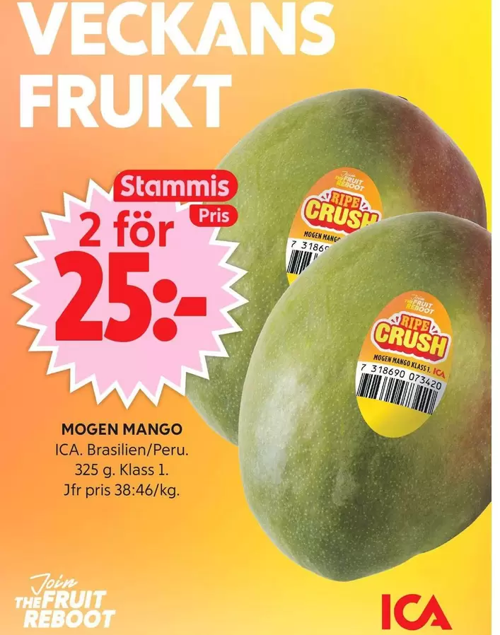 MOGEN MANGO