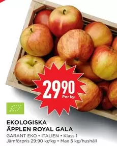 EKO - ÄPPLEN ROYAL GALA