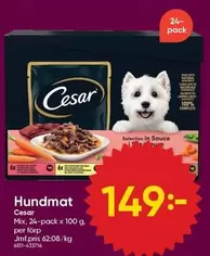 Hundmat