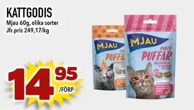 mjau - KATTGODIS