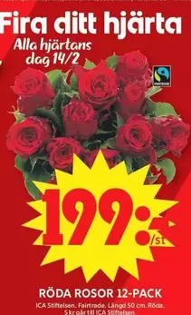 fairtrade - RÖDA ROSOR 12-PACK