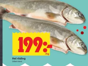 Hel röding