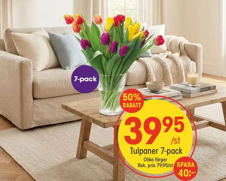 Tulpaner 7-pack