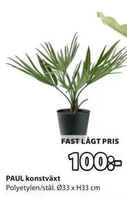 PAUL konstväxt