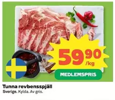 Tunna revbensspjäll