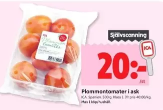 Plommontomater i ask