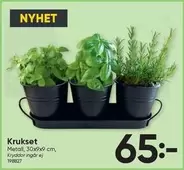 Krukset