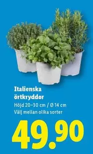 Italienska örtkryddor