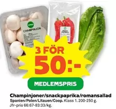 Coop - Champinjoner/snackpaprika/romansallad