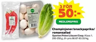 Champinjoner/snackpaprika/romansallad