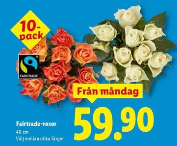 fairtrade - Fairtrade-rosor