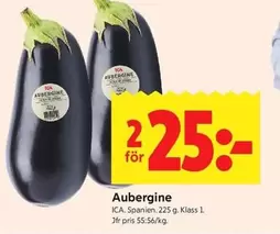 Aubergine