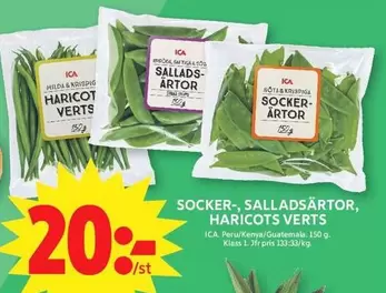 Milda - SOCKER-, SALLADSÄRTOR, HARICOTS VERTS