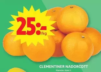 CLEMENTINER NADORCOTT