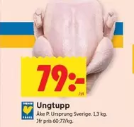 Ungtupp