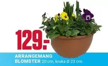 ARRANGEMANG BLOMSTER