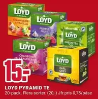 Pyramid - PYRAMID TE