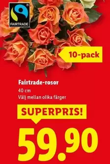 fairtrade - Fairtrade-rosor