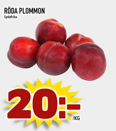 RÖDA PLOMMON