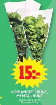 KORIANDER I BUNT, MYNTA I BUNT