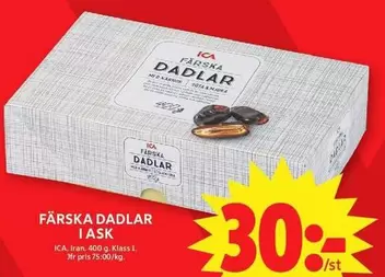 FÄRSKA DADLAR